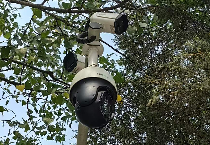 首页 | J9集团有限公司官网