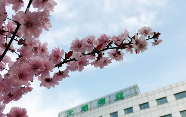 首页 | J9集团有限公司官网